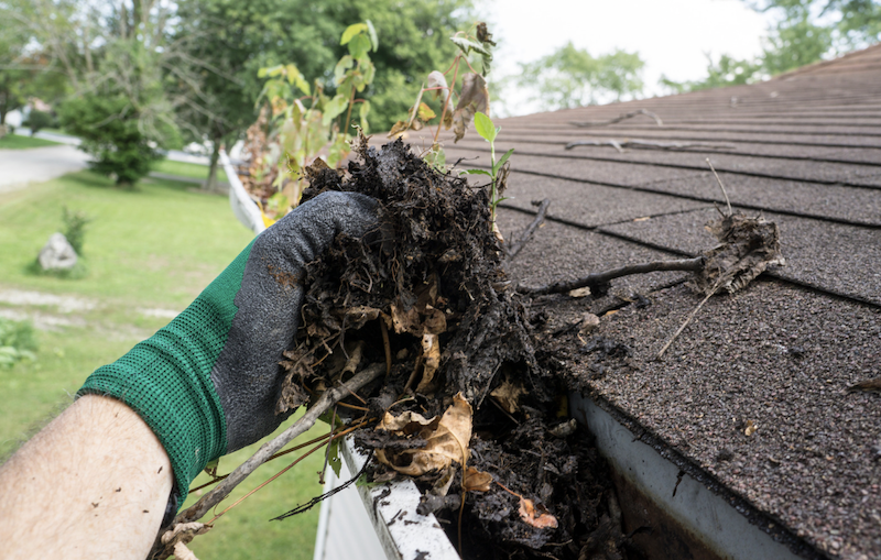 How often and when is it best to clean your gutters in Melbourne?