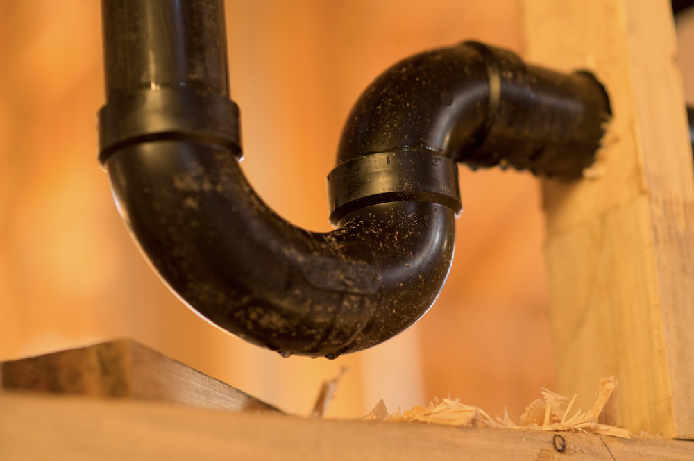 tree roots in pipes