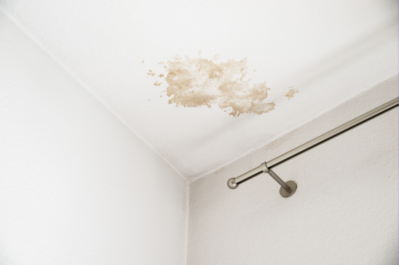 the most common plumbing problems roof leak