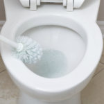 aussie-toilet-bowl-cleaning-hacks