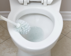 aussie-toilet-bowl-cleaning-hacks